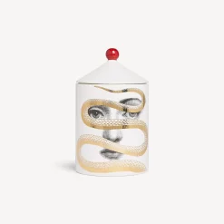 Best Candela Profumata Se Poi - Decoro Peccato Originale - Fragranza Frutto Proibito Candele Profumate