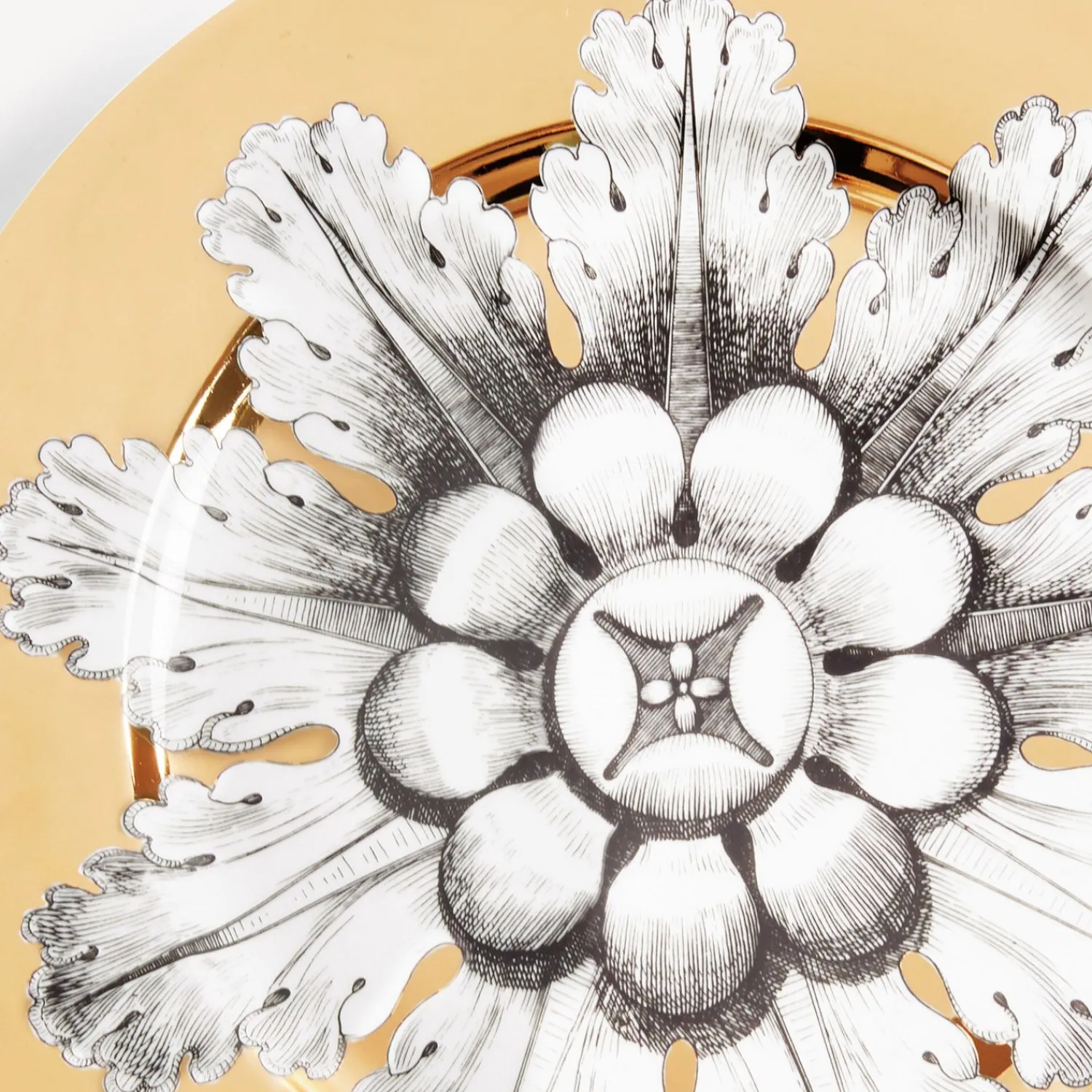 Store Cerchio Piastra Rosone N.6 Piatti Decorativi