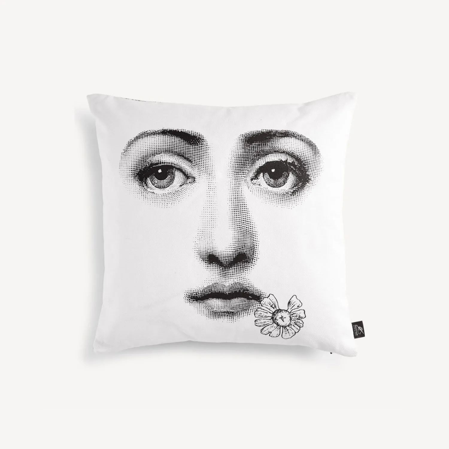 Best Sale Cuscino Tema E Variazioni N.288 Cuscini