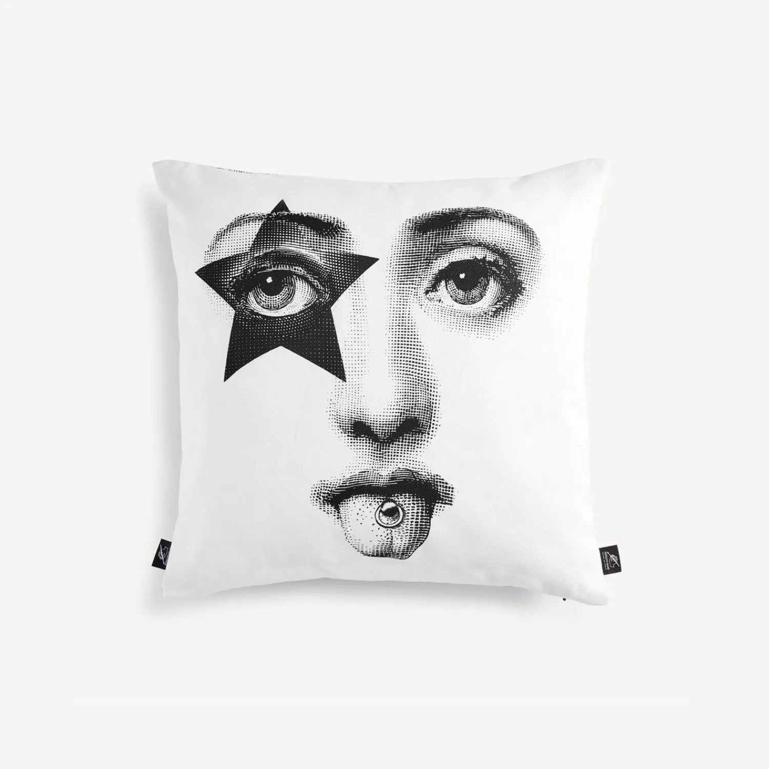 Shop Cuscino Tema E Variazioni N.381 Cuscini