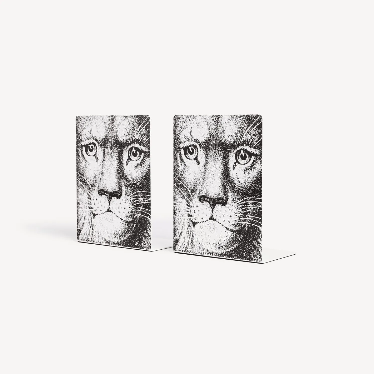 Sale Fermalibri Leone Fermalibri