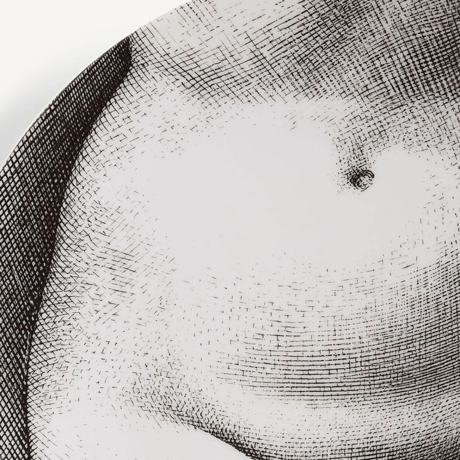 Flash Sale Piatto Da Muro Tema E Variazioni N.305 Disegni Anatomici
