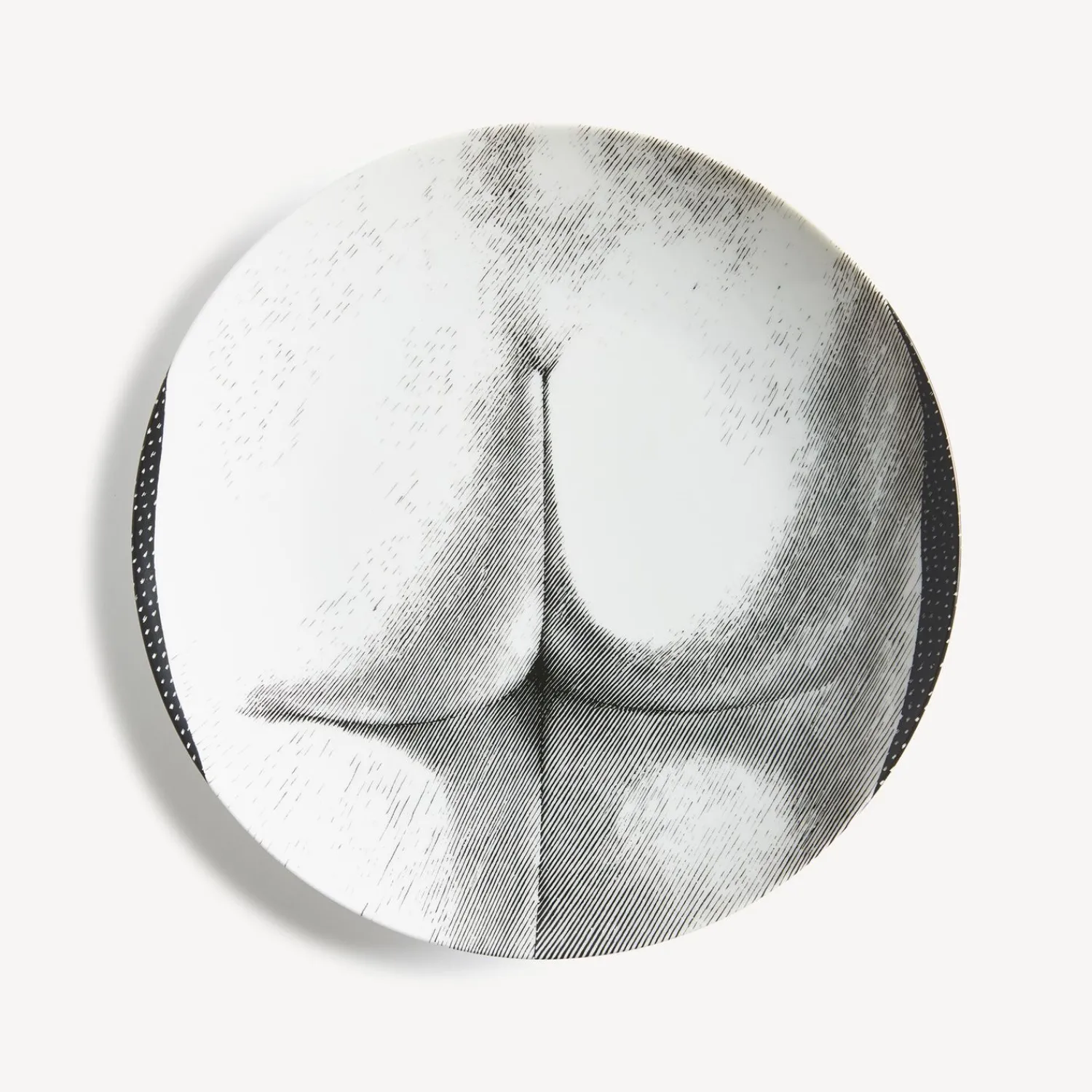 Shop Piatto Da Muro Tema E Variazioni N.306 Disegni Anatomici