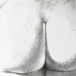 Shop Piatto Da Muro Tema E Variazioni N.306 Disegni Anatomici