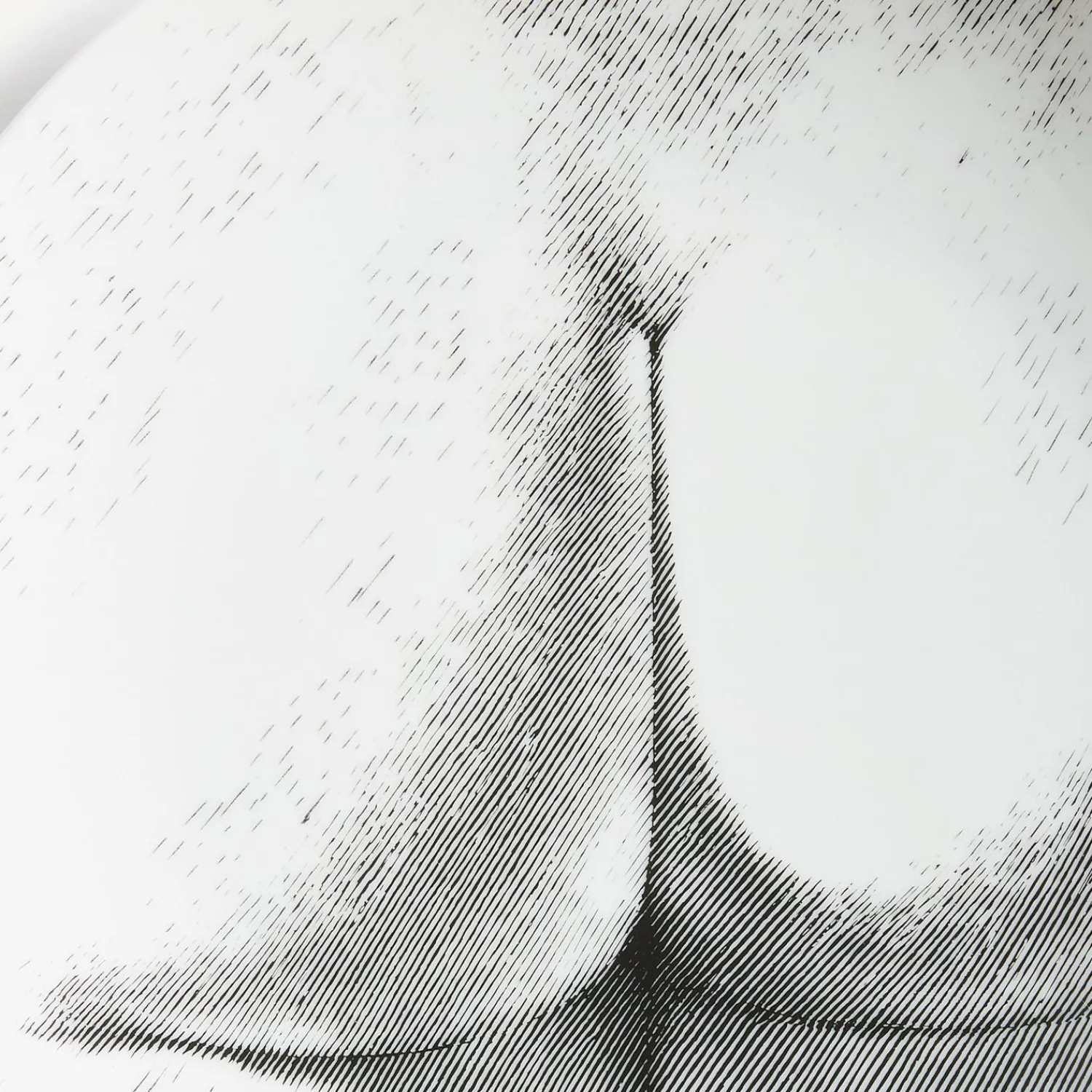 Shop Piatto Da Muro Tema E Variazioni N.306 Disegni Anatomici