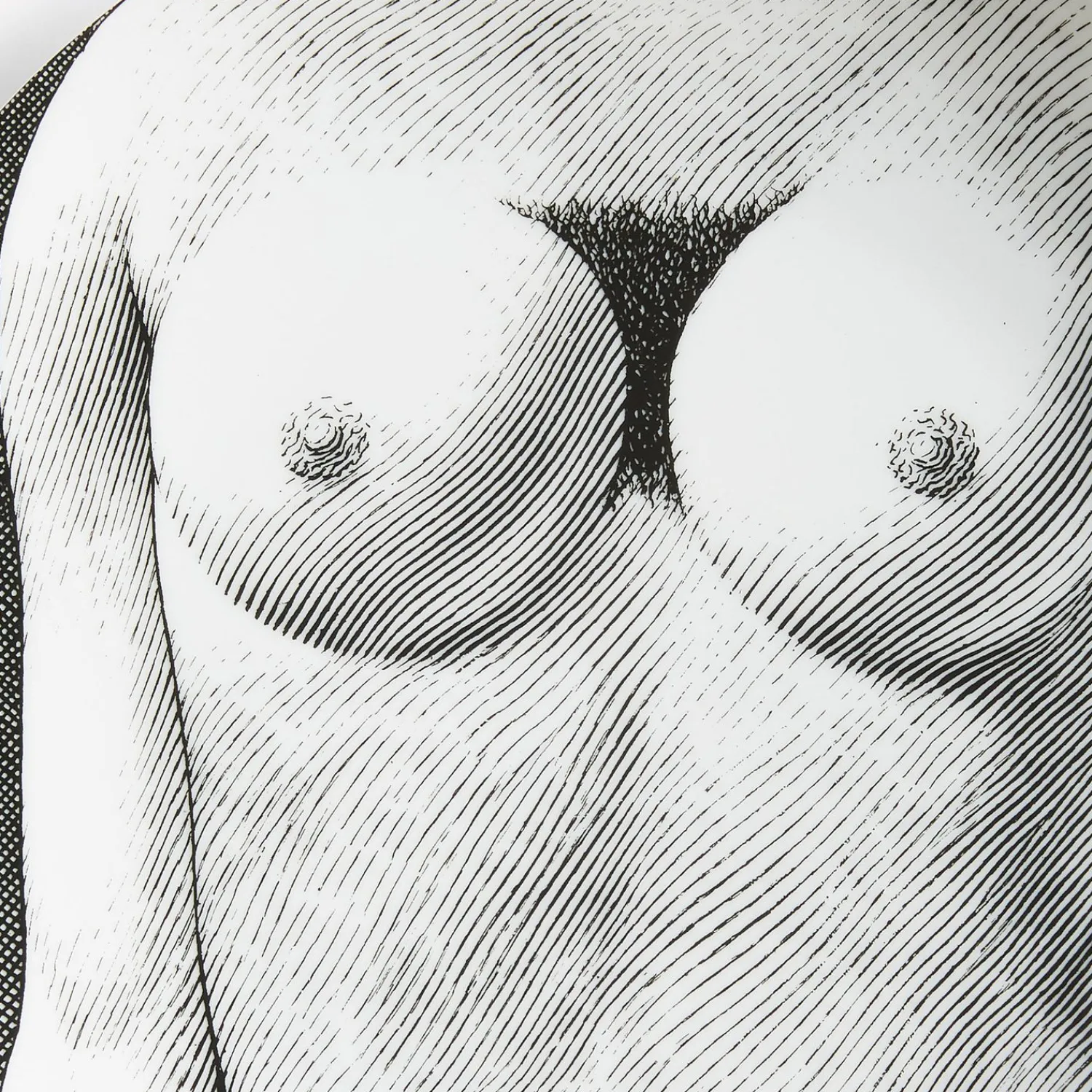 Clearance Piatto Da Muro Tema E Variazioni N.340 Disegni Anatomici