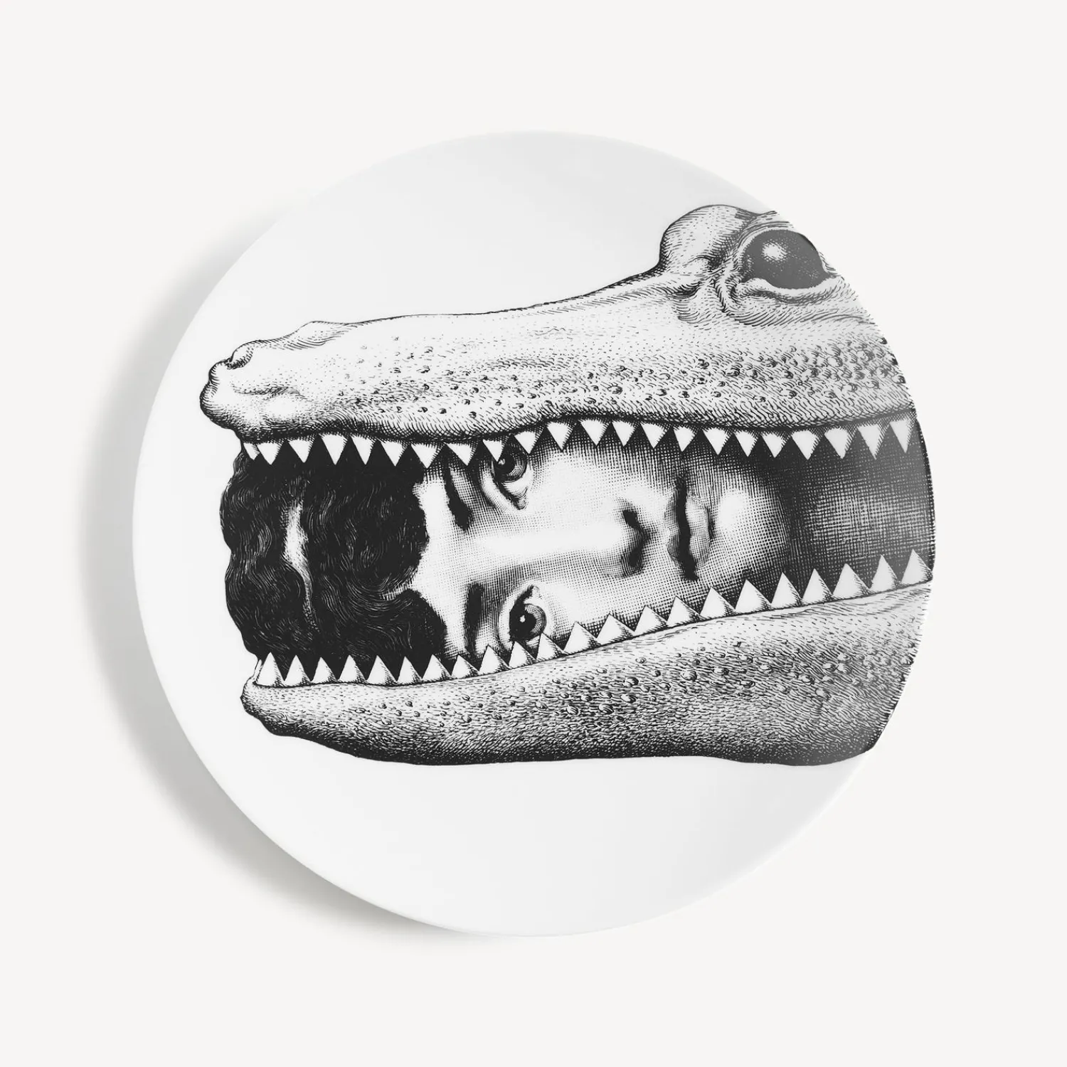 Best Sale Piatto Da Muro Tema E Variazioni N.233 Animali