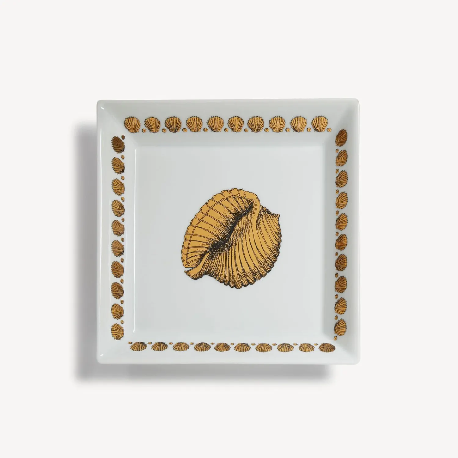 Cheap Piatto Quadrato Giro Di Conchiglie Piatti Decorativi
