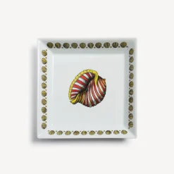 Hot Piatto Quadrato Giro Di Conchiglie Piatti Decorativi