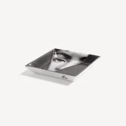 Discount Piatto Tema E Variazioni N.401 Piatti Decorativi