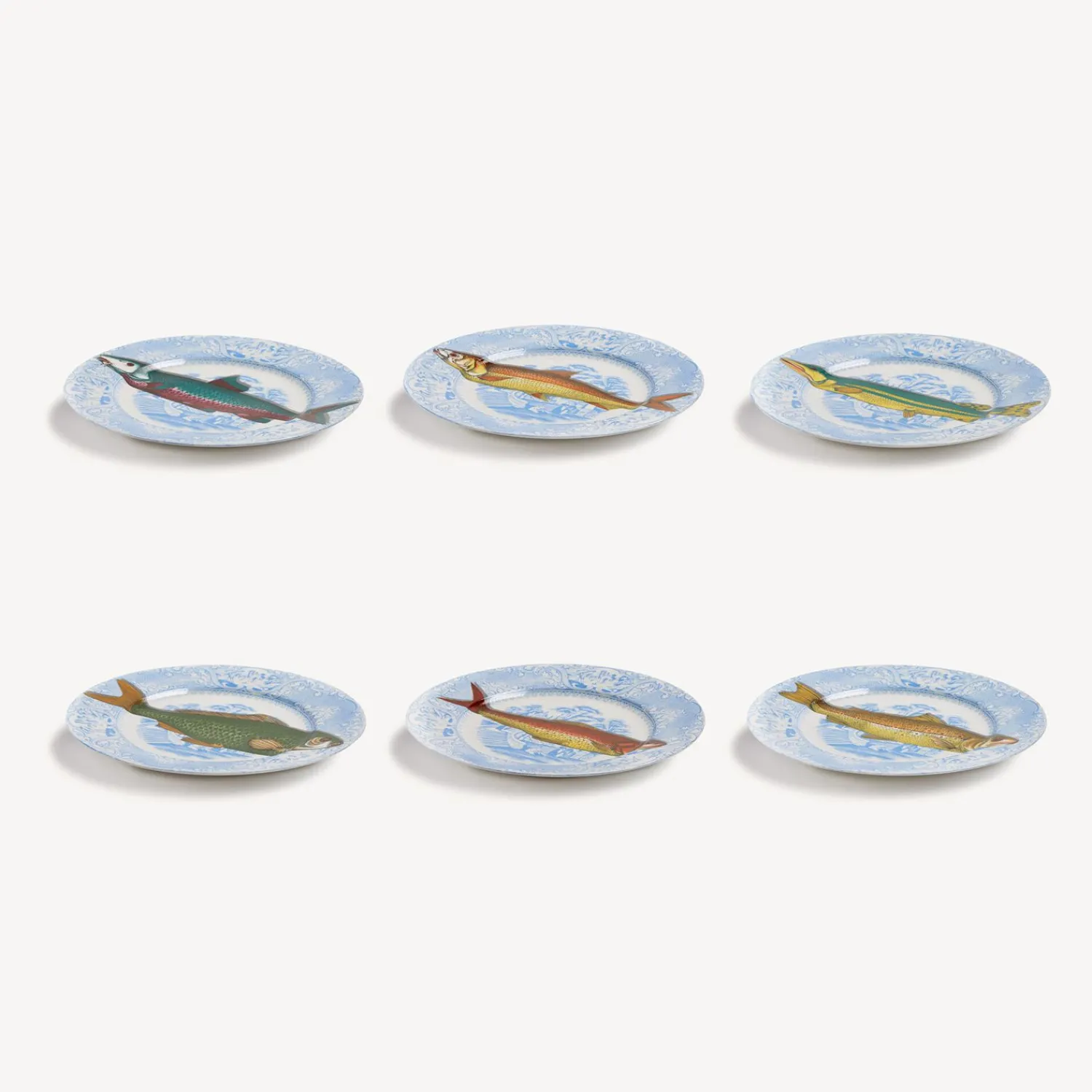 New Set 6 Piatti Piscibus Piatti Decorativi