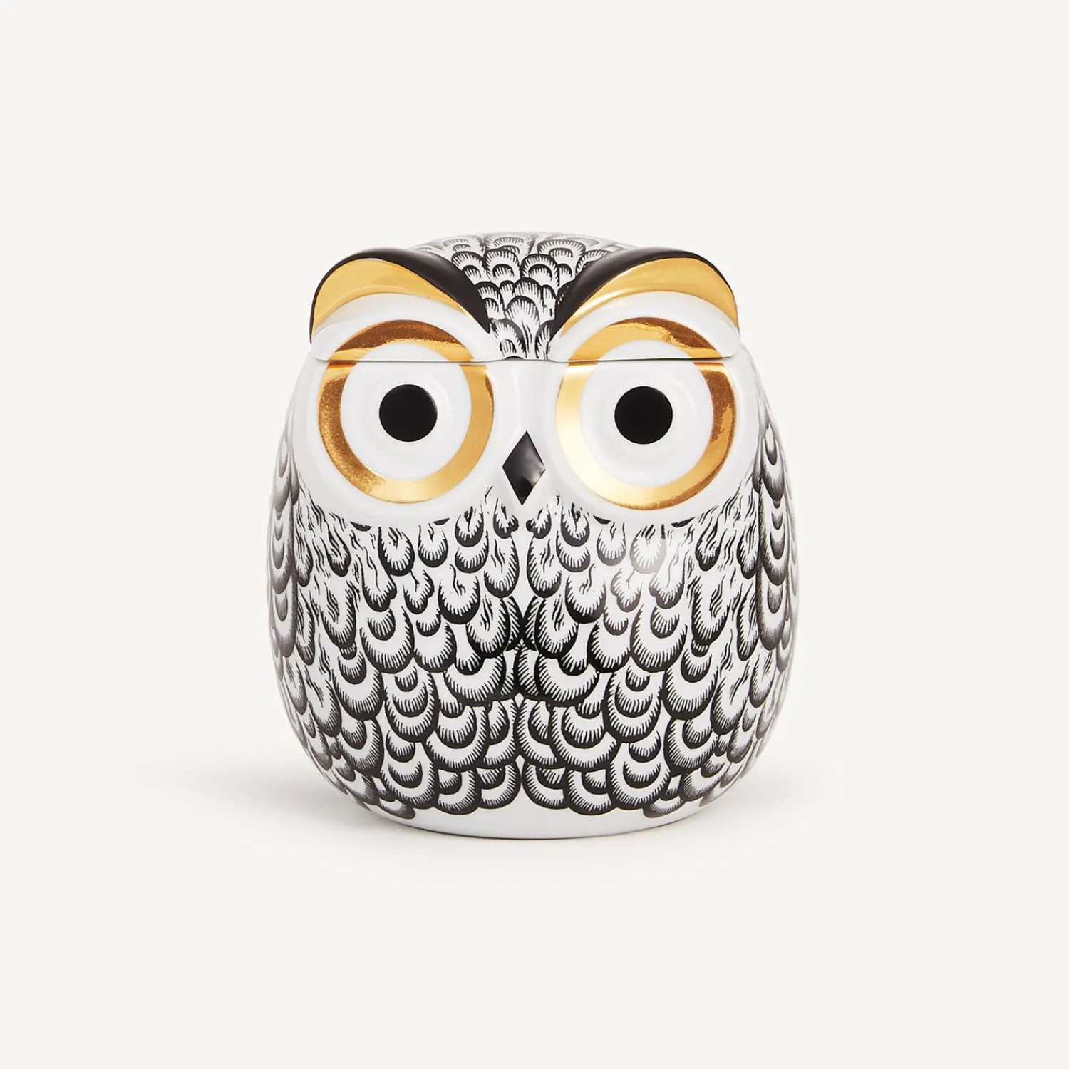 New Vaso Civetta Piumata Piccoli Contenitori