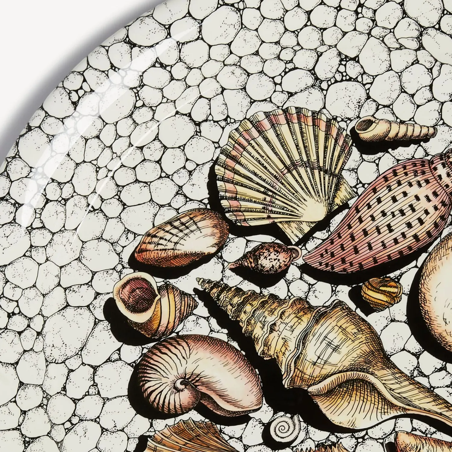 Online Vassoio Conchiglie E Ciotoli Vassoi E Pliants Decorativi