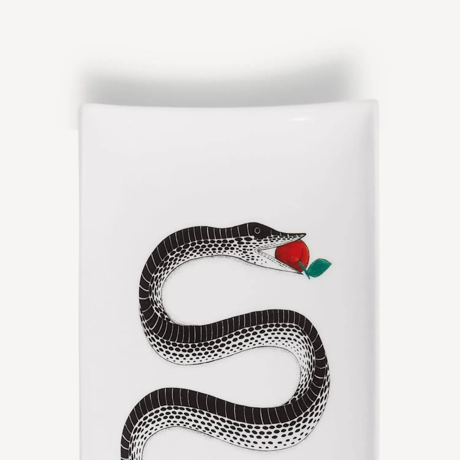 Shop Vassoio Rettangolare Serpente Vassoi Decorativi