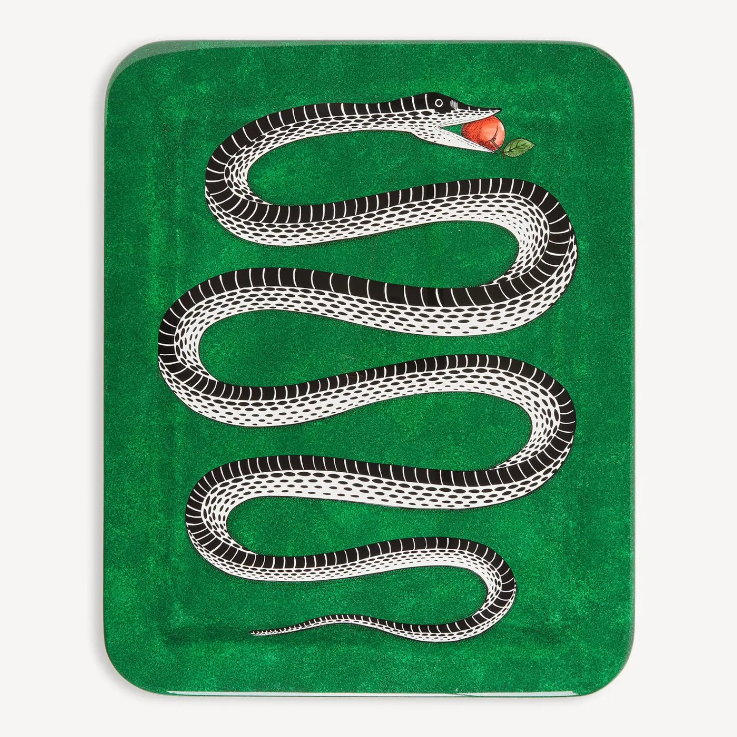 Store Vassoio Serpente Vassoi E Pliants Decorativi